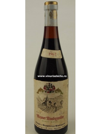 Mazoner Pinot Nero 1967